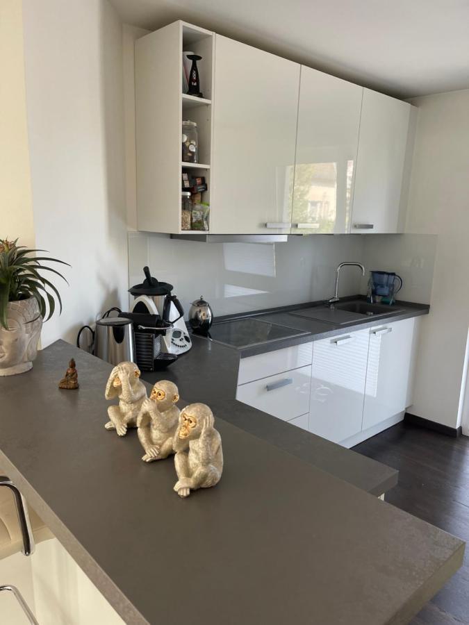 Gemuetliche Villa Am Waldrand In Taunusstein Zewnętrze zdjęcie